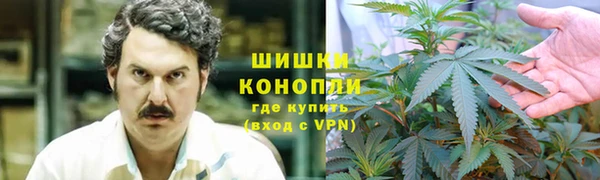 гидропоника Кодинск