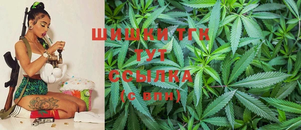 гидропоника Кодинск