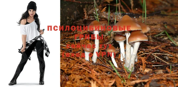 спиды Киреевск