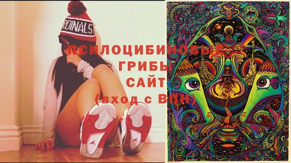 гидропоника Кодинск