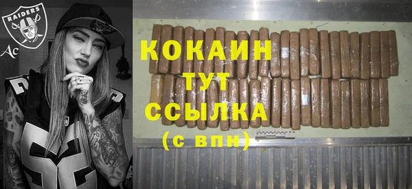 винт Козельск